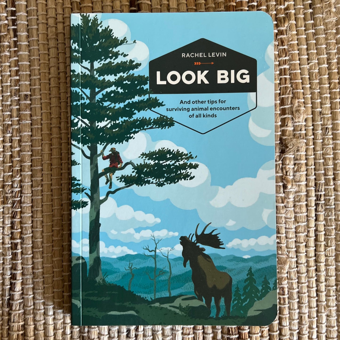 Look Big by Rachel Levin