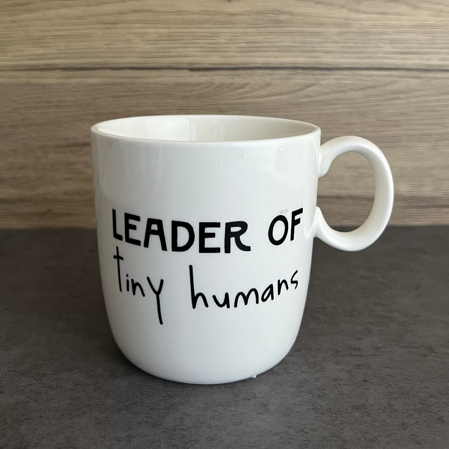 Leader of tiny humans mug
