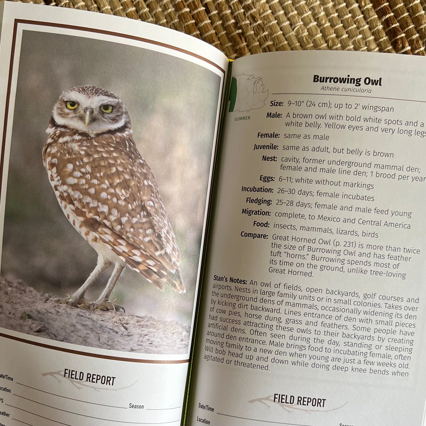 Load image into Gallery viewer, Midwest Birding Companion by Stan Tekiela

