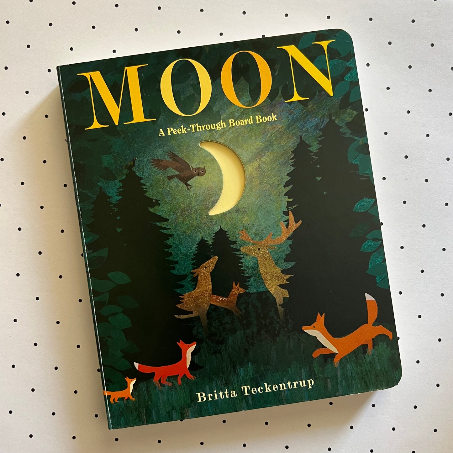 Moon Board Book