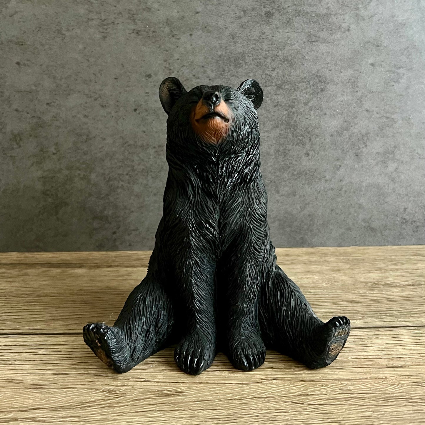 Sitting Bear
